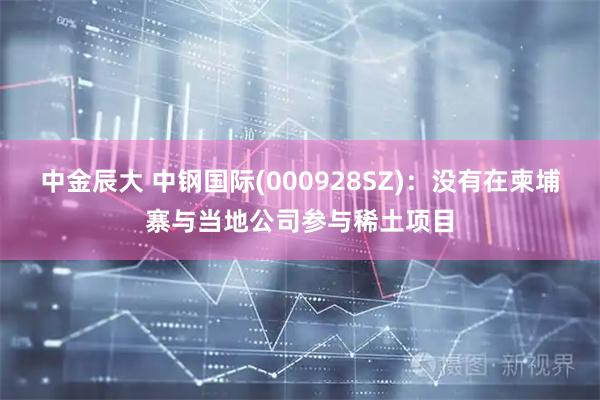 中金辰大 中钢国际(000928SZ)：没有在柬埔寨与当地公司参与稀土项目